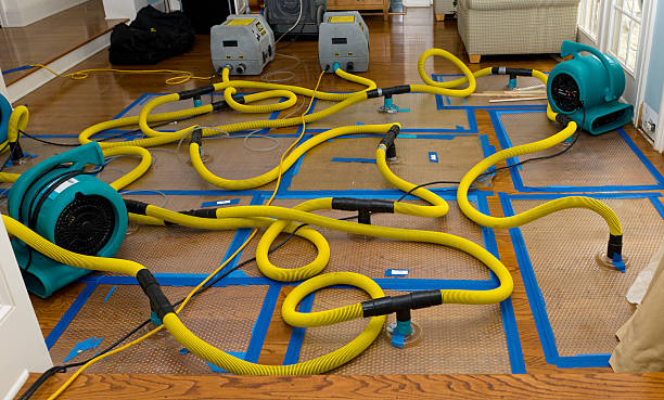 Professional Crawl Space Water Removal technician working in Lodi, NJ